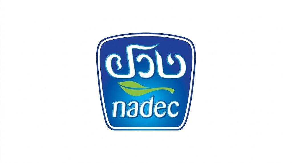 تنويع الإيرادات وضغط التكاليف: القراءة المالية لنتائج "نادك"